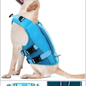 XXL Blue Dog Life Jacket (43)